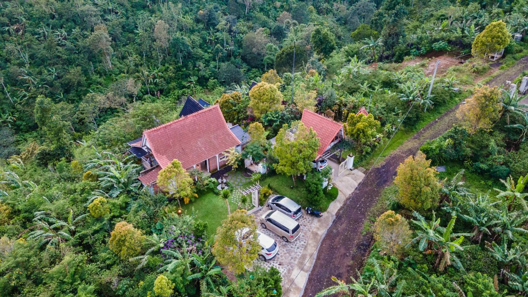 Slope Glamping Gitgit